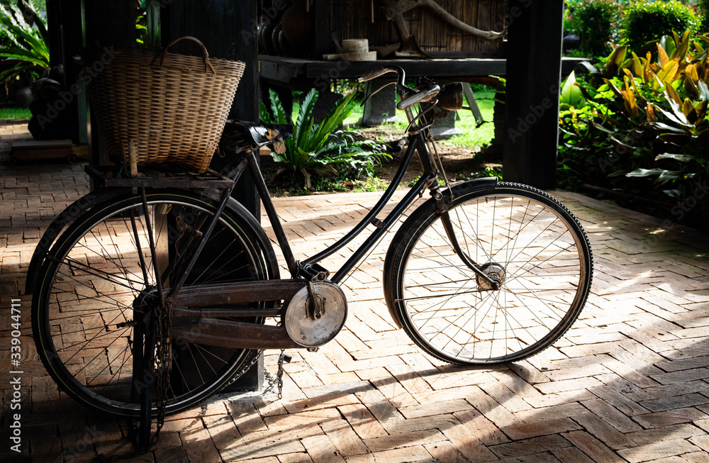Old bicycle under old house at upcountry with sunlight in the morning time
