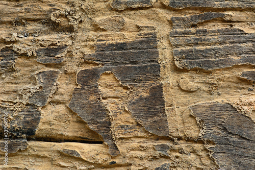 Old wood plank background