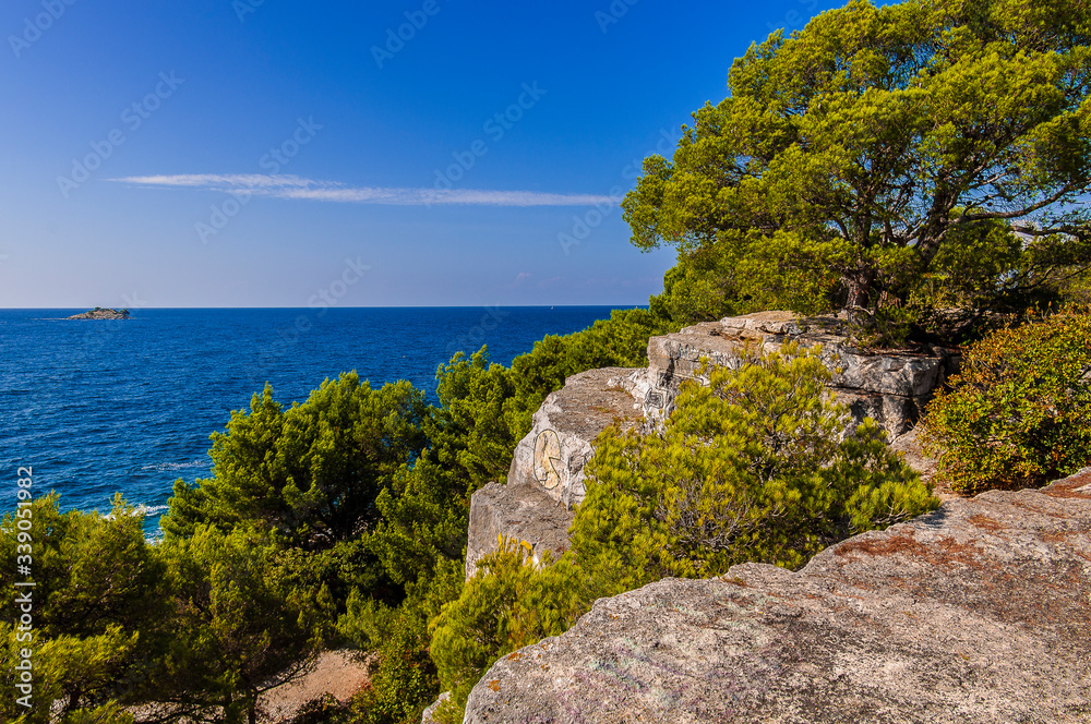Fototapeta premium Küstenlandschaft
