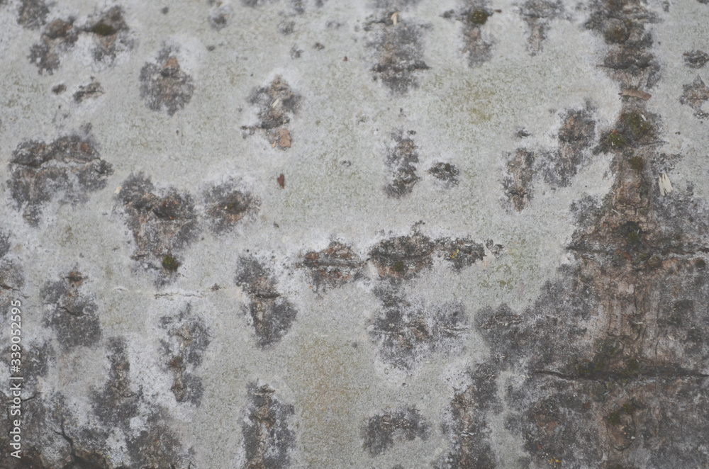 Bark texture background pattern crack old brown for design Bark texture background pattern crack old brown for design
