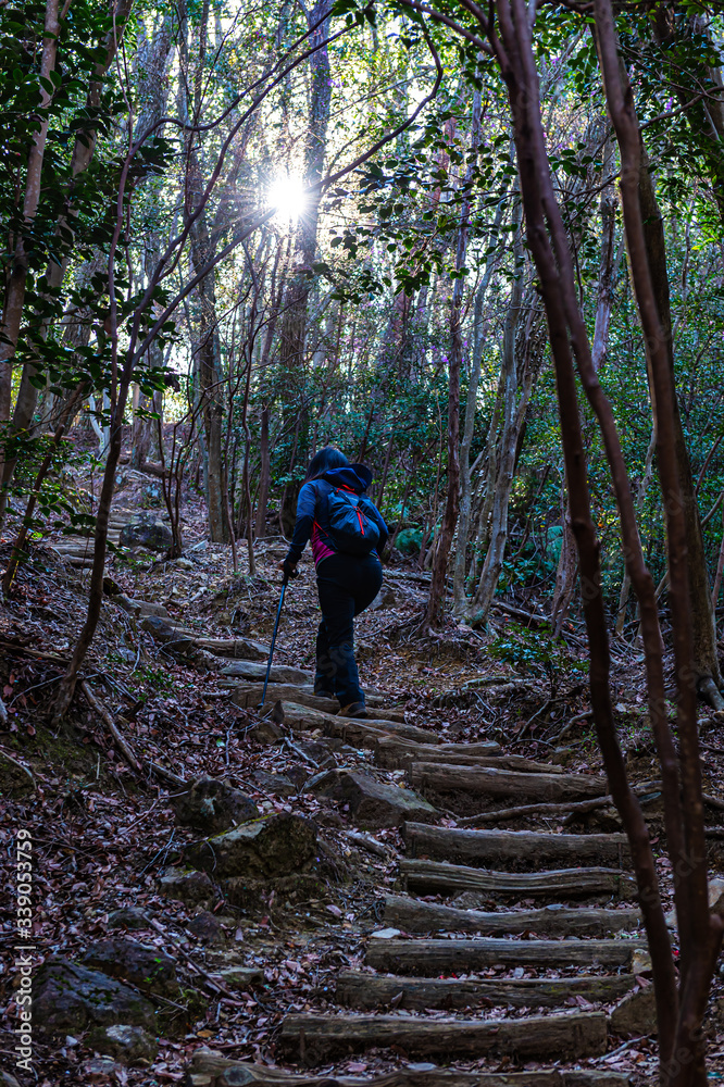 宝塚中山渓谷から三角山へ