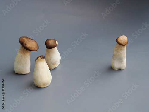 Group of Pleurotus Eryngii  or king  Oyster Orinji Mushroom concept body shape concept gossip and bullying photo