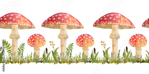Fototapeta hand drawn watercolor seamless horizontal border with poisonous mushrooms red Amanita muscaria