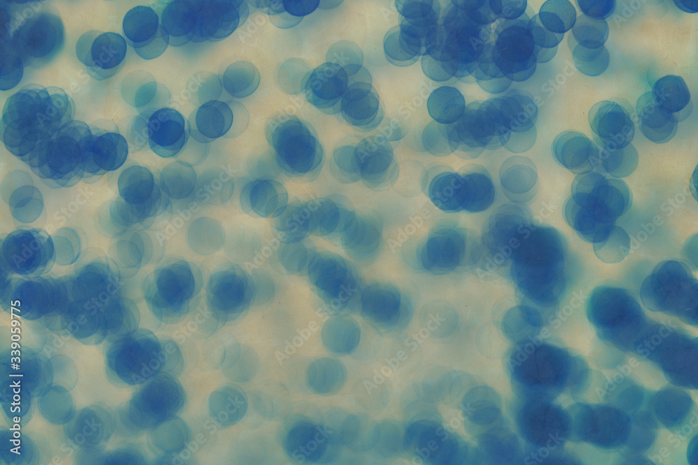 Petri dish close up background Petri dish close up background