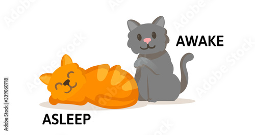 Words asleep and awake textcard with two cartoon cats. Opposite adjectives explanation card. Flat vector illustration, isolated on white background.