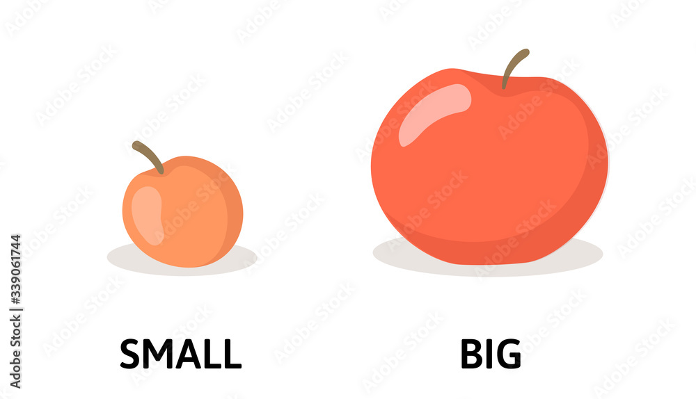 Opposite adjectives words with big and small Vector Image