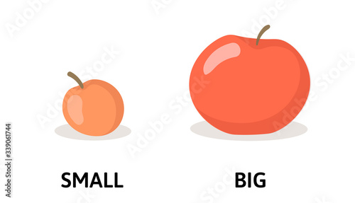 Words small and big opposites flashcard with red apples. Opposite adjectives explanation card. Flat vector illustration, isolated on white background. photo