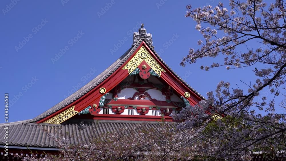 Beautiful Red Facade Of A Japanese Temple Against The Blue Sky In Japan With Sakura Tree In Front - Medium Shot Beautiful Red Facade Of A Japanese Temple Against The Blue Sky In Japan With Sakura Tree In Front - Medium Shot