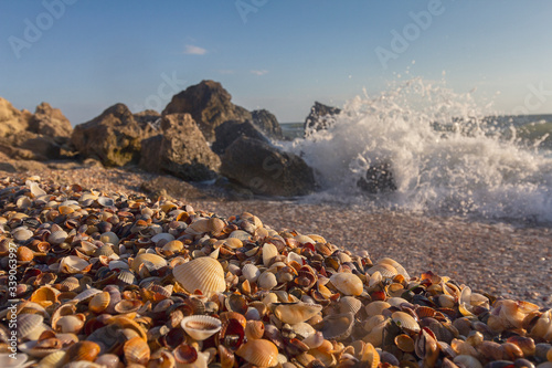 Seashells on the shore rocks waves rolling. Crimea coast