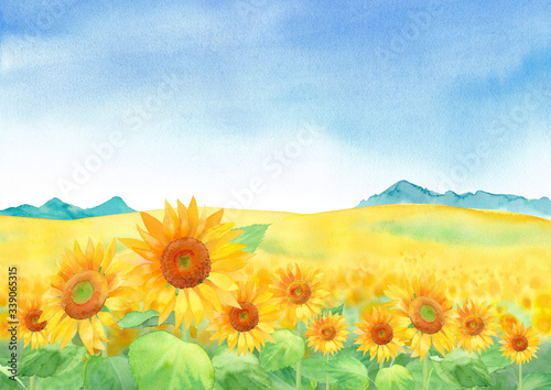 青空のひまわり畑の風景 水彩イラスト Stock イラスト Adobe Stock 青空のひまわり畑の風景 水彩イラスト Stock イラスト Adobe Stock