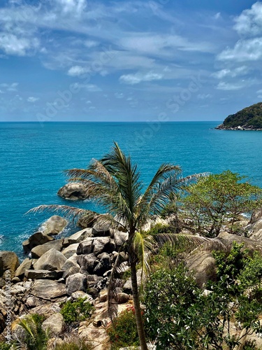 view of the ocean, green trees, palm leaves, large stones against a blue sky with white clouds, under the sun on a tropical island