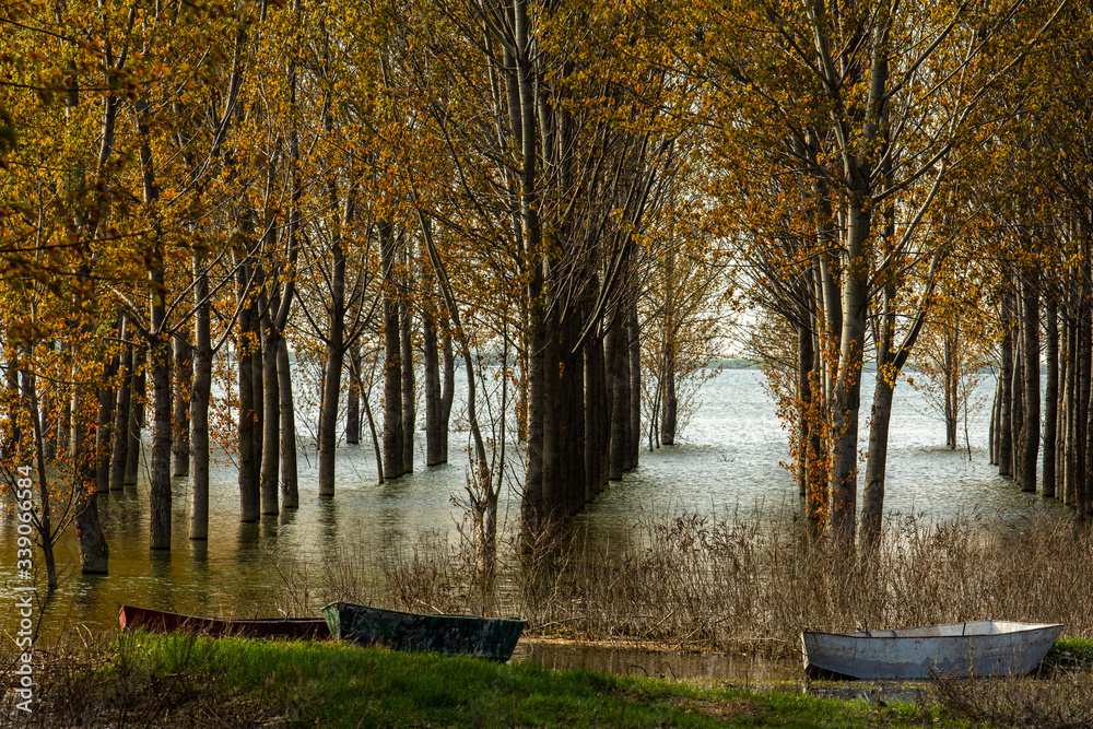 Fototapeta premium Docked boats on the river shore in autumn forest