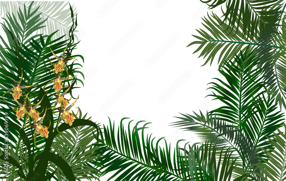 yellow small orchid flower branch in green palm leaves