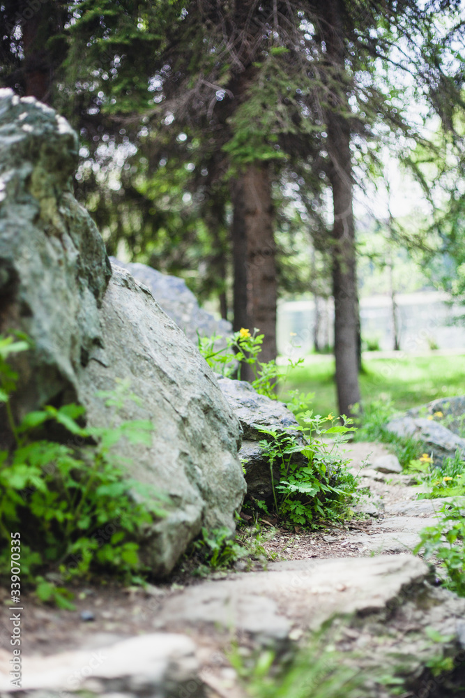 Landscape, landscape with rocks, trees, branches, background, Wallpaper, nature, recreation, travel, nature, city Park