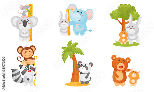 Funny Animals Measuring and Comparing Heights Vector Set
