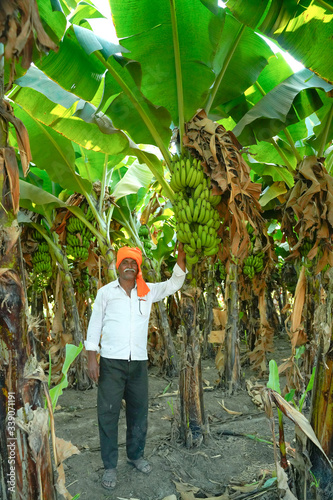 Fotografija Young Indian farmer at banana field