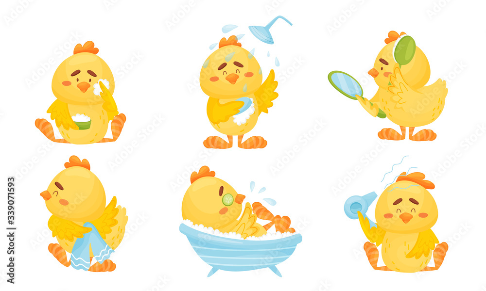 Cartoon Yellow Chicken in the Morning Taking a Shower and Doing Its Feathers Vector Set Cartoon Yellow Chicken in the Morning Taking a Shower and Doing Its Feathers Vector Set