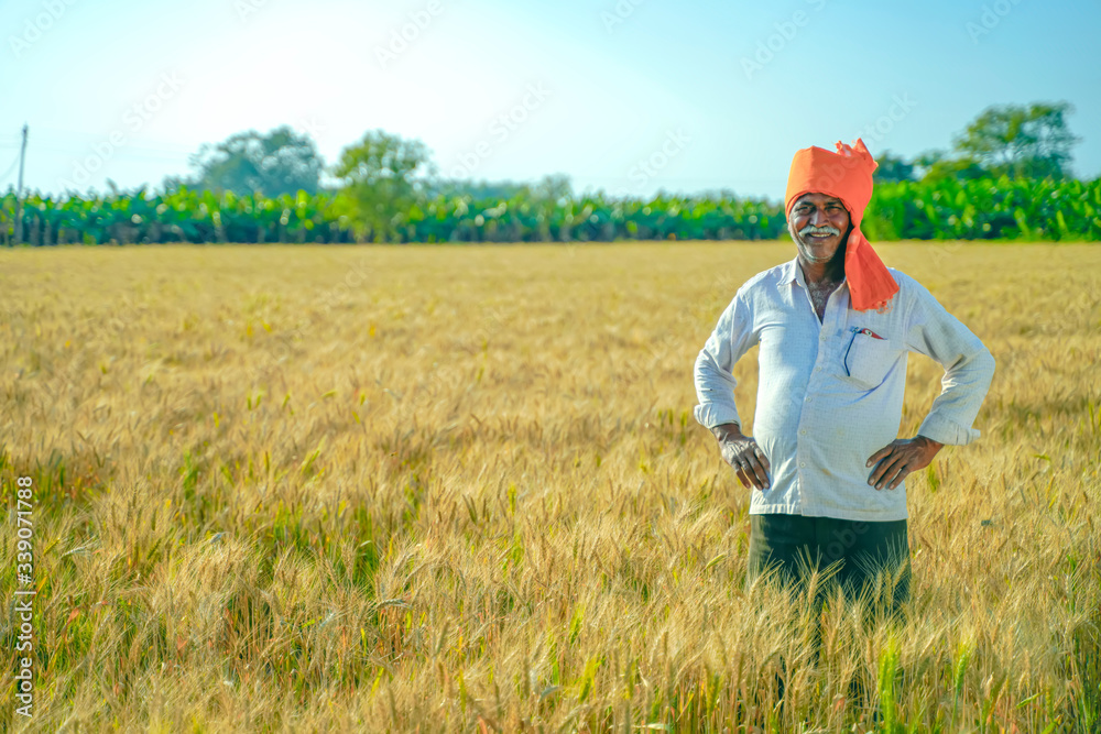 Young Indian farmer standing at wheat field Young Indian farmer standing at wheat field