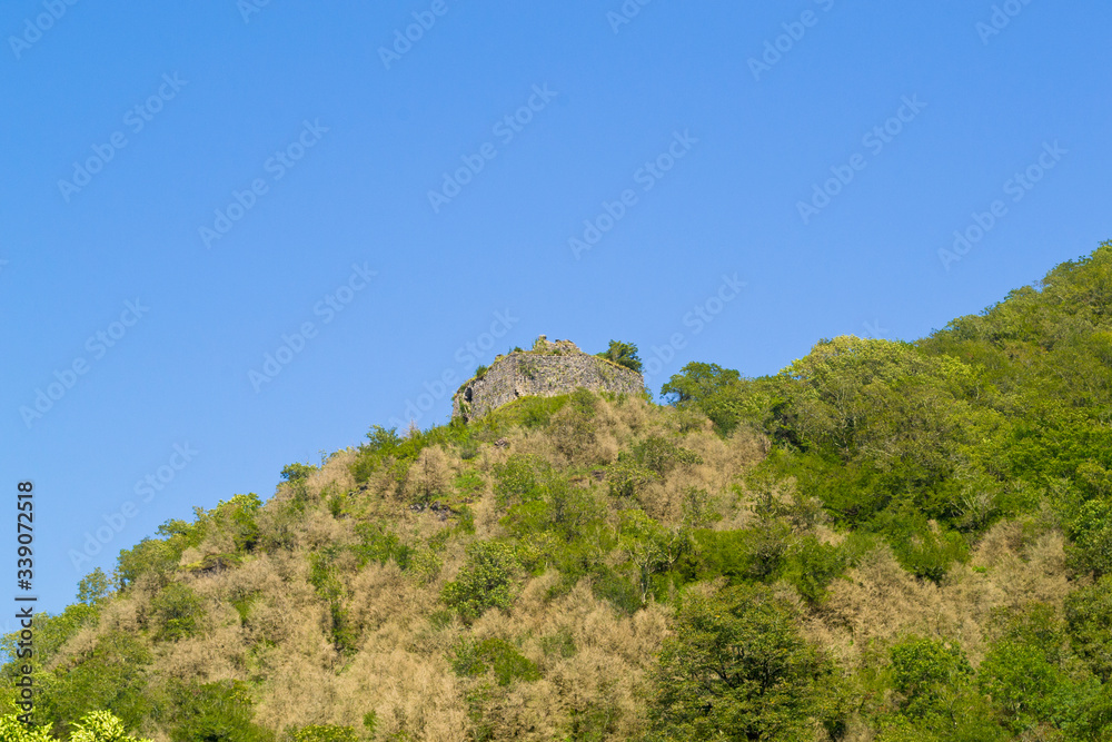 Mountain landscape with trees slope, old fortress