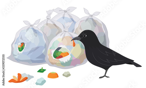 ゴミ置き場のゴミ袋をあさるカラスのイラスト
