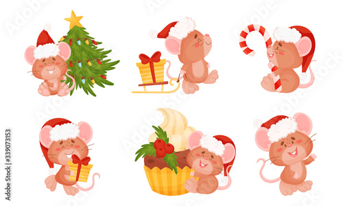 Cute Mouse with Long Tail and Protruding Ears Holding Candy Stick and Carrying Gift Box Vector Set