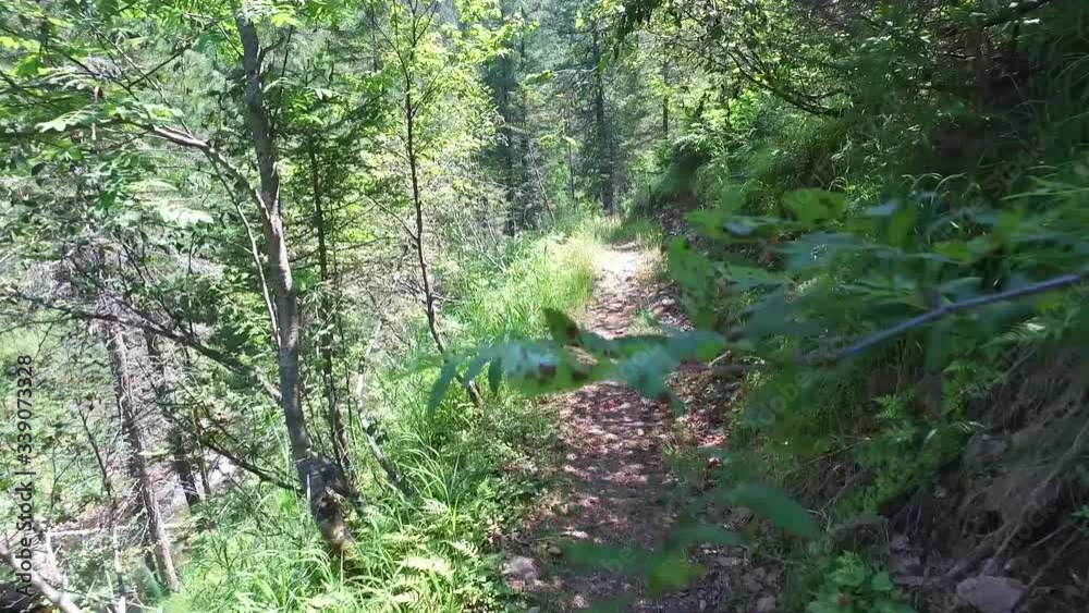 Hiking on the trail in the forest. View from the top to the mountain river. A wooden suspension bridge. Green nature of Russia, Baikal. Hiking on the trail in the forest. View from the top to the mountain river. A wooden suspension bridge. Green nature of Russia, Baikal.