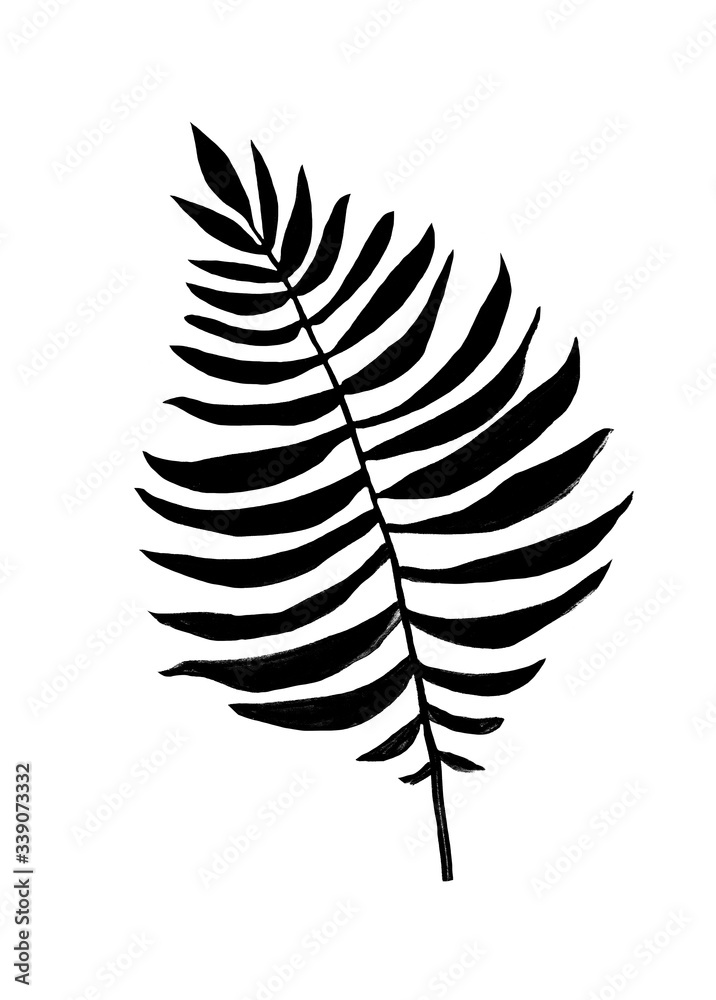 black and white illustration, tropical leaf, graphics, nature