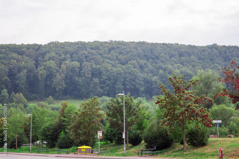 Trees plants grass and greenery in the highway of Rosenheim new autobahn Germany