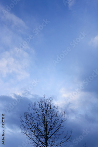 冬の空