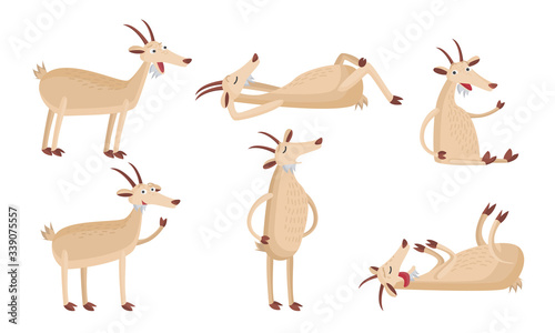 Set of isolated hand drawn cute funny happy goats enjoying casual life things