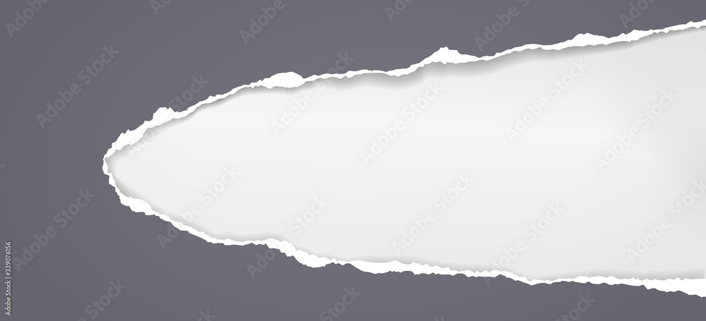 Piece of torn black horizontal paper with soft shadow stuck on white background. Vector illustration Piece of torn black horizontal paper with soft shadow stuck on white background. Vector illustration