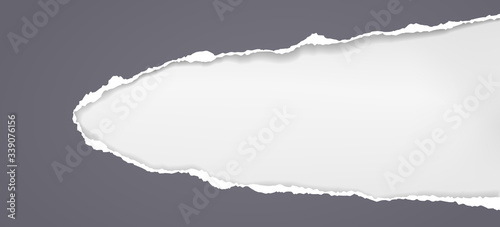 Piece of torn black horizontal paper with soft shadow stuck on white background. Vector illustration
