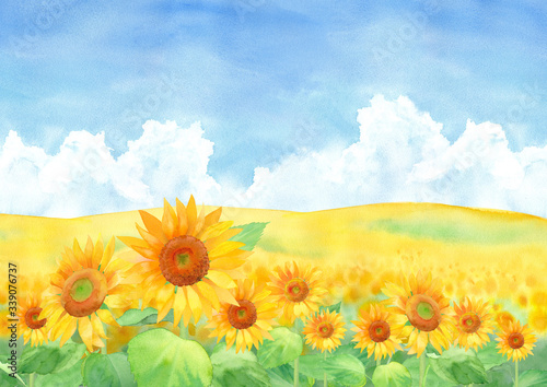 青空と積乱雲のひまわり畑の風景、水彩イラスト