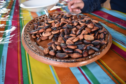 Cacao tostado