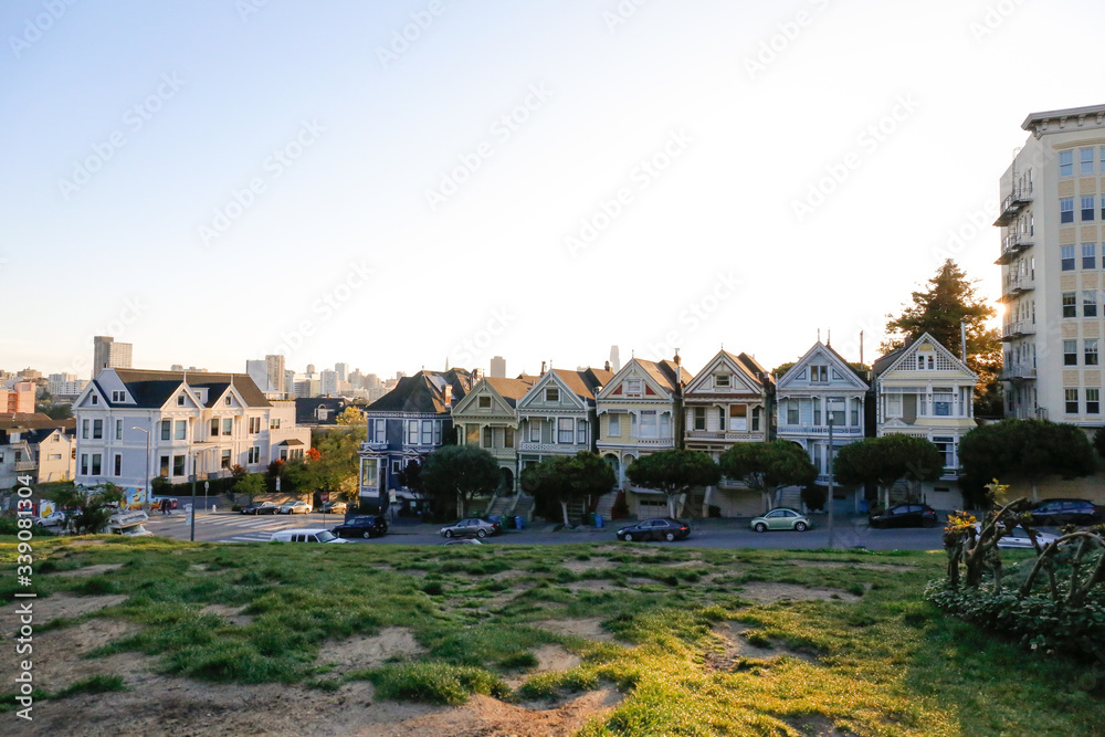 Obraz premium The Painted Ladies