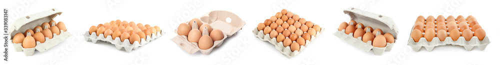 Set of raw chicken eggs on white background. Banner design Set of raw chicken eggs on white background. Banner design
