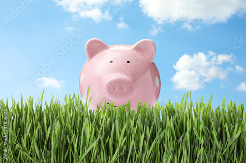 Pink piggy bank on fresh green grass outdoors