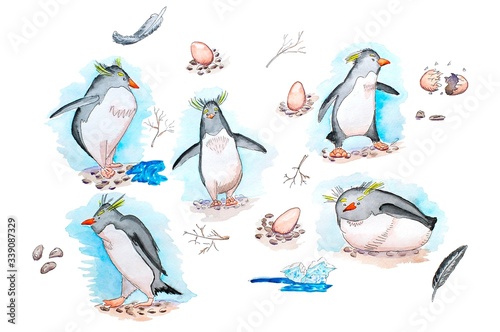 Antarctic polar wildlife crested penguins walkig playing family characters raster watercolor photo