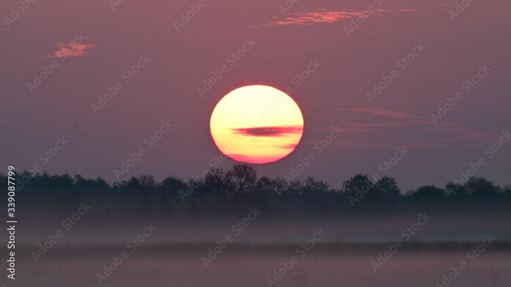 Sunrise over the foggy moor landscape, spring Sunrise over the foggy moor landscape, spring