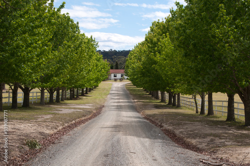 Mogo Australia, dirt country road lined by trees