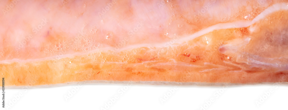 Trout fish meat on white background.