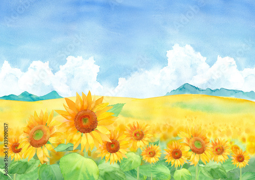 青空と入道雲のひまわり畑の風景、水彩イラスト