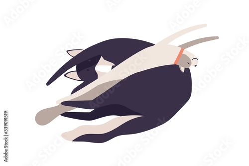 Cute cartoon cat and dog sleeping together in funny pose vector flat illustra...