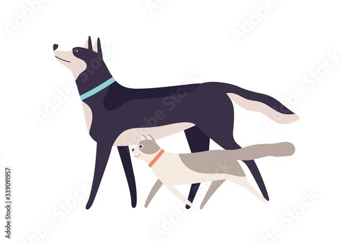 Two funny cartoon domestic animal friend walking together vector flat illustration. Happy colorful cat and dog going enjoying friendship isolated on white background. Friendly joyful pet smiling