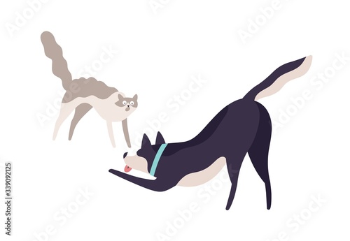 Cartoon scared cat and excited dog fighting vector flat illustration. Cute colorful domestic animal playing together isolated on white background. Two angry pet having aggressive each other