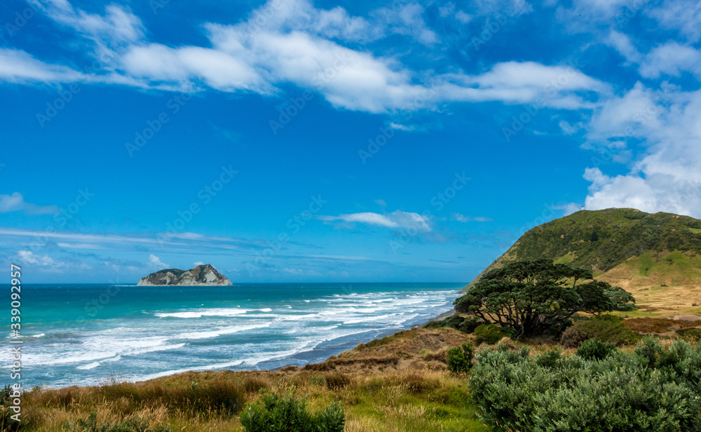Traumstrand in Neuseeland an der Küste