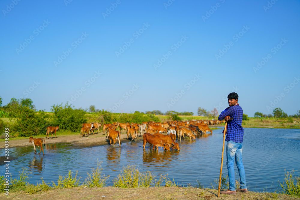 young indian farmer with his cattle