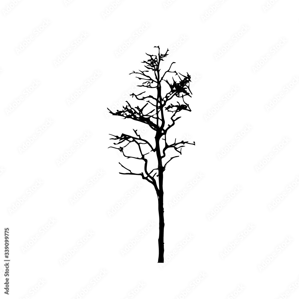 Obraz premium Tree silhouettes on white background. Vector illustration.