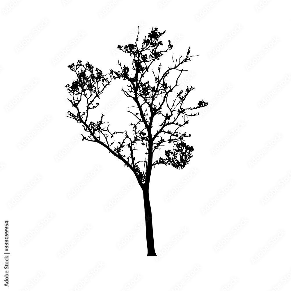 Obraz premium Tree silhouettes on white background. Vector illustration.