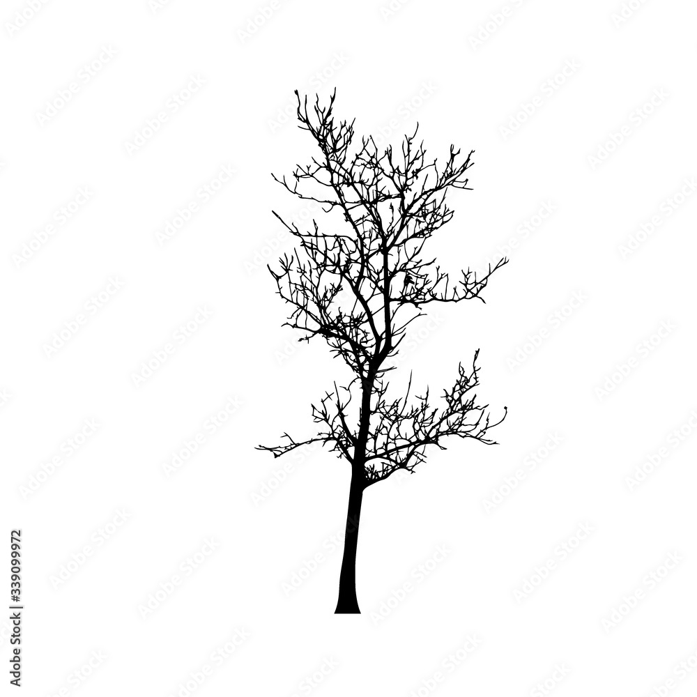 Obraz premium Tree silhouettes on white background. Vector illustration.
